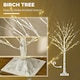 image 4 of HOMCOM 5ft Artificial White Birch Tree Light w/ 96 Warm White Pre-Lit LED Light