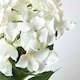 image 5 of Homescapes Small Cream Artificial Hydrangea Flower in Cream Pot, 38 cm Tall