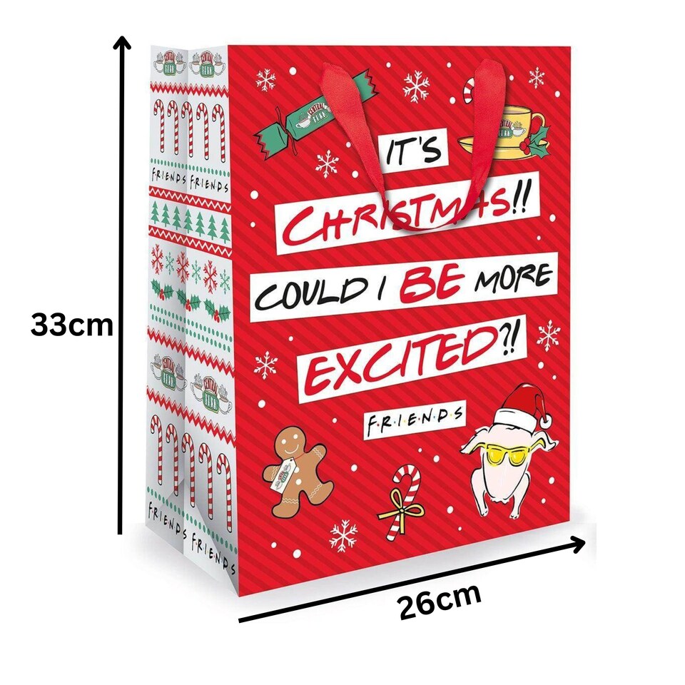 image 1 of Friends Christmas Medium Gift Bag