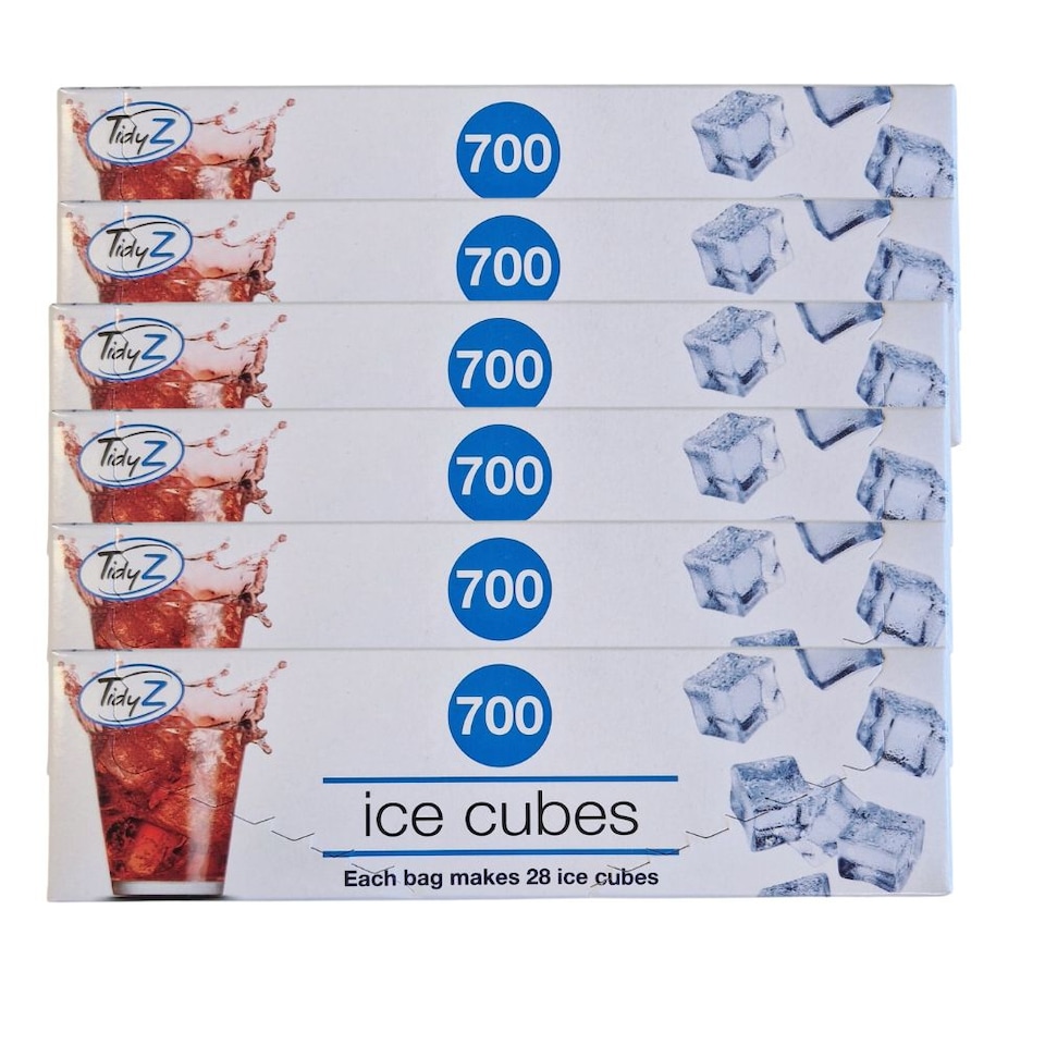 TidyZ Ice Cube Bags 700 Assorted Pack