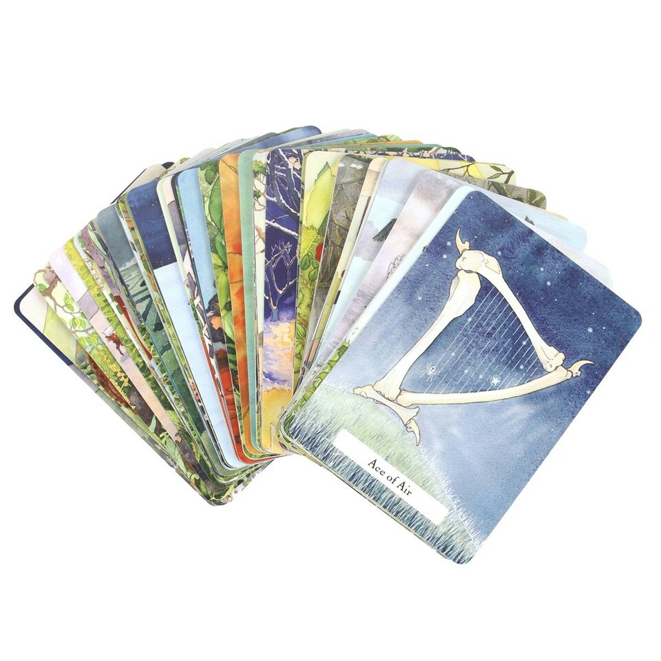 image 1 of Phyllis Curott The Witches´ Wisdom Tarot Cards - Multicoloured - One Size