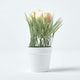 image 5 of Homescapes Pink & Cream Artificial Tulips in White Decorative Pot, 22 cm Tall