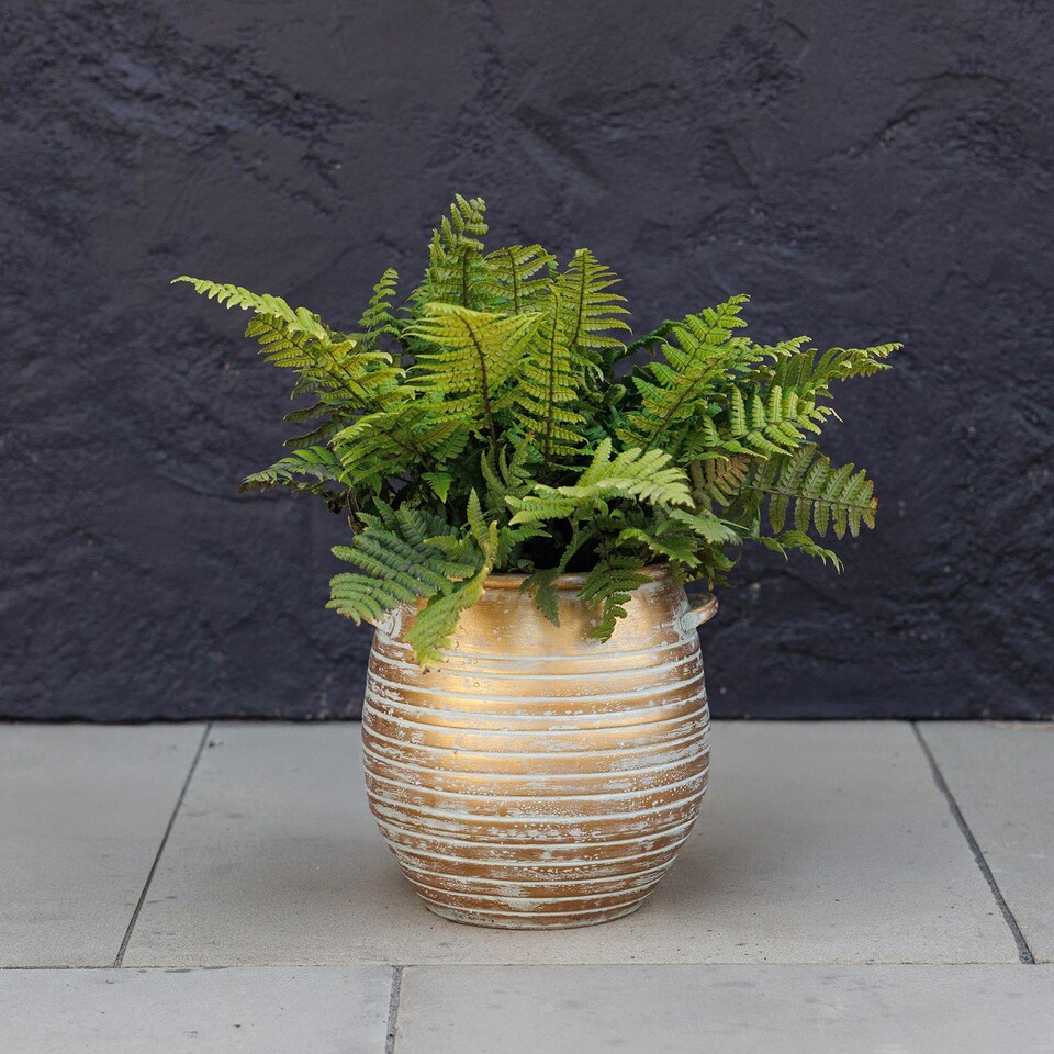 image 1 of Golden Decorative Metal Banded Rustic Aged Effect Planter 24cm | Gold | Gold