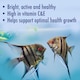 image 5 of 2 x 200g Aquarian Tropical Fish Flakes Complete Nutrition for Colourful Aquarium Tropical Fish Fish Food & Aquarium Supplies