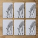 image 2 of Zebra (Coaster)