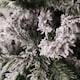 image 3 of 8ft (2.4m) Snow Flocked Woodcote Spruce Artificial Christmas Tree