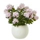 image 1 of Large Pink Hydrangea Plant in Pot - Plastic - L55 x W55 x H71 cm - Pink