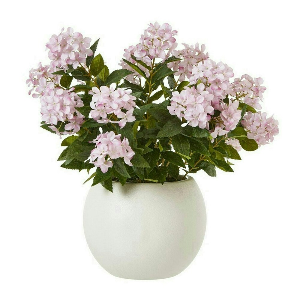 image 1 of Large Pink Hydrangea Plant in Pot - Plastic - L55 x W55 x H71 cm - Pink