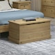 image 6 of Core Products Corona, Storage Trunk H46cm x W91cm x D49.5cm Brown