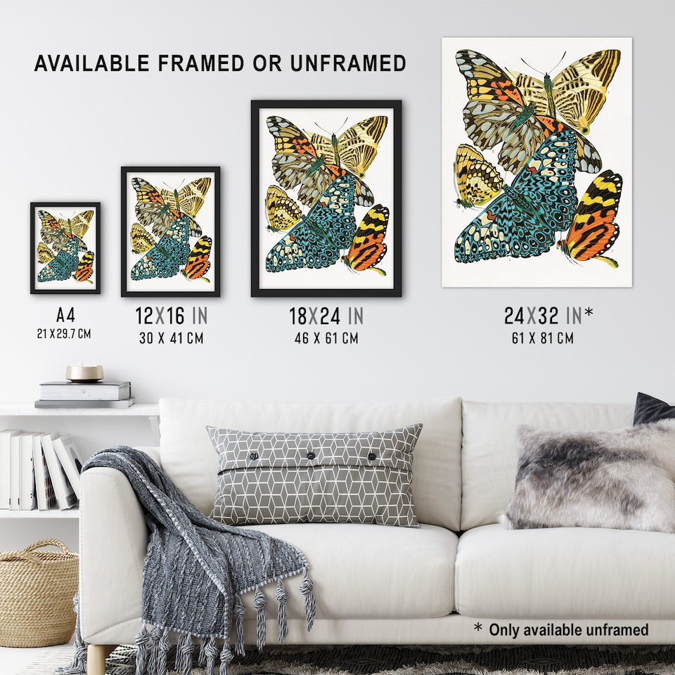 image 1 of Vintage Butterflies Blue Yellow Vintage Framed Wall Art Print Seguy 12x16"