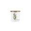 Tarragon