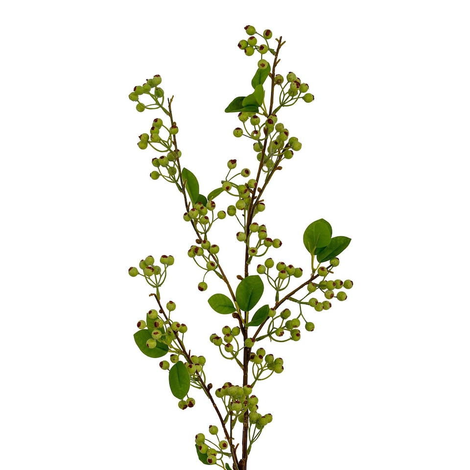 Hill Interiors Wintergreen Artificial Plant | Green | Green | One Size | 1