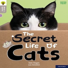 Oxford Reading Tree Word Sparks: Level 1: The Secret Life Of Cats