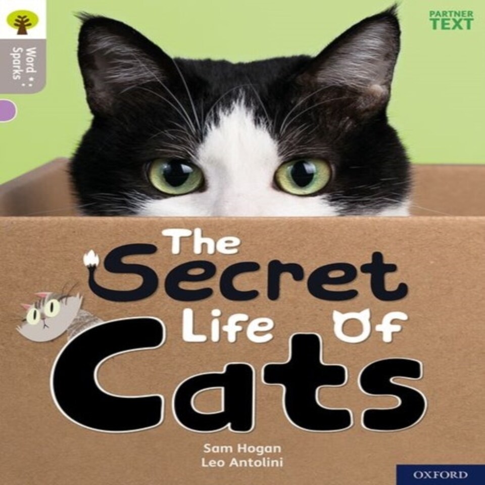 Oxford Reading Tree Word Sparks: Level 1: The Secret Life Of Cats
