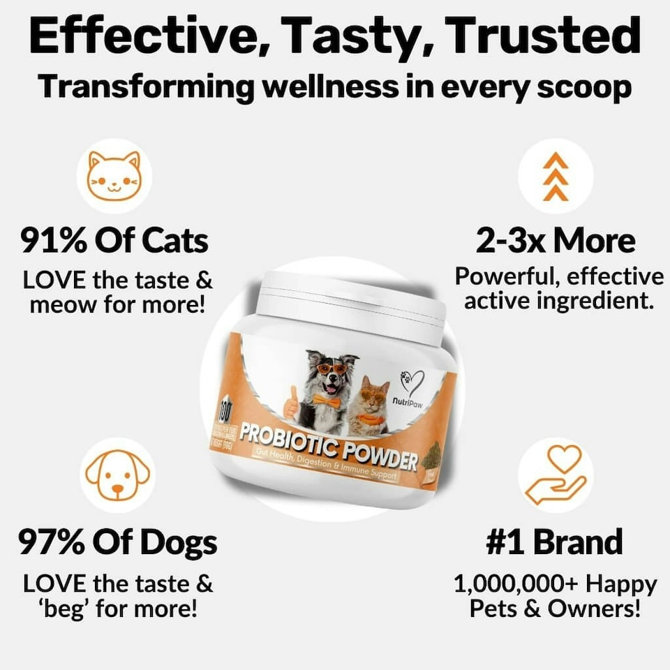 image 1 of Pre, Pro & Postbiotic Powder