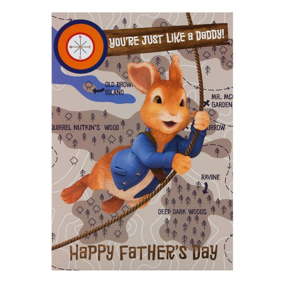 image 1 of Peter Rabbit Father's Day Card 'Like A Daddy'