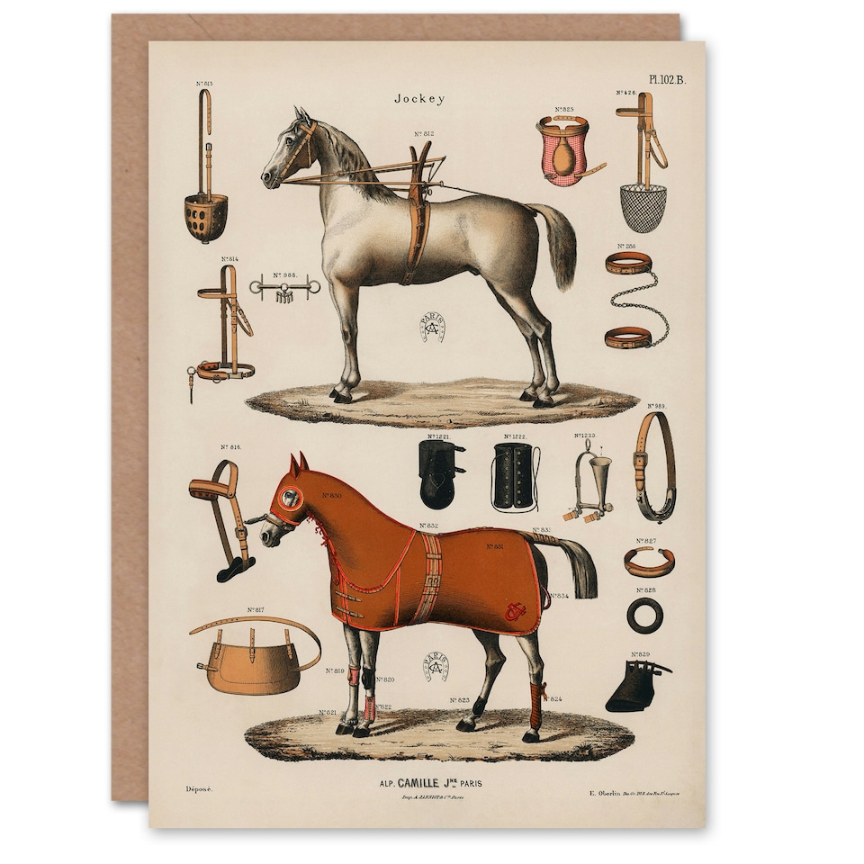image 1 of Alp Camille Jeune Art Card Vintage Horseback Riding Equipment