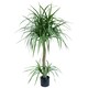 image 1 of 120cm Dracaena Realistic Artificial Tree