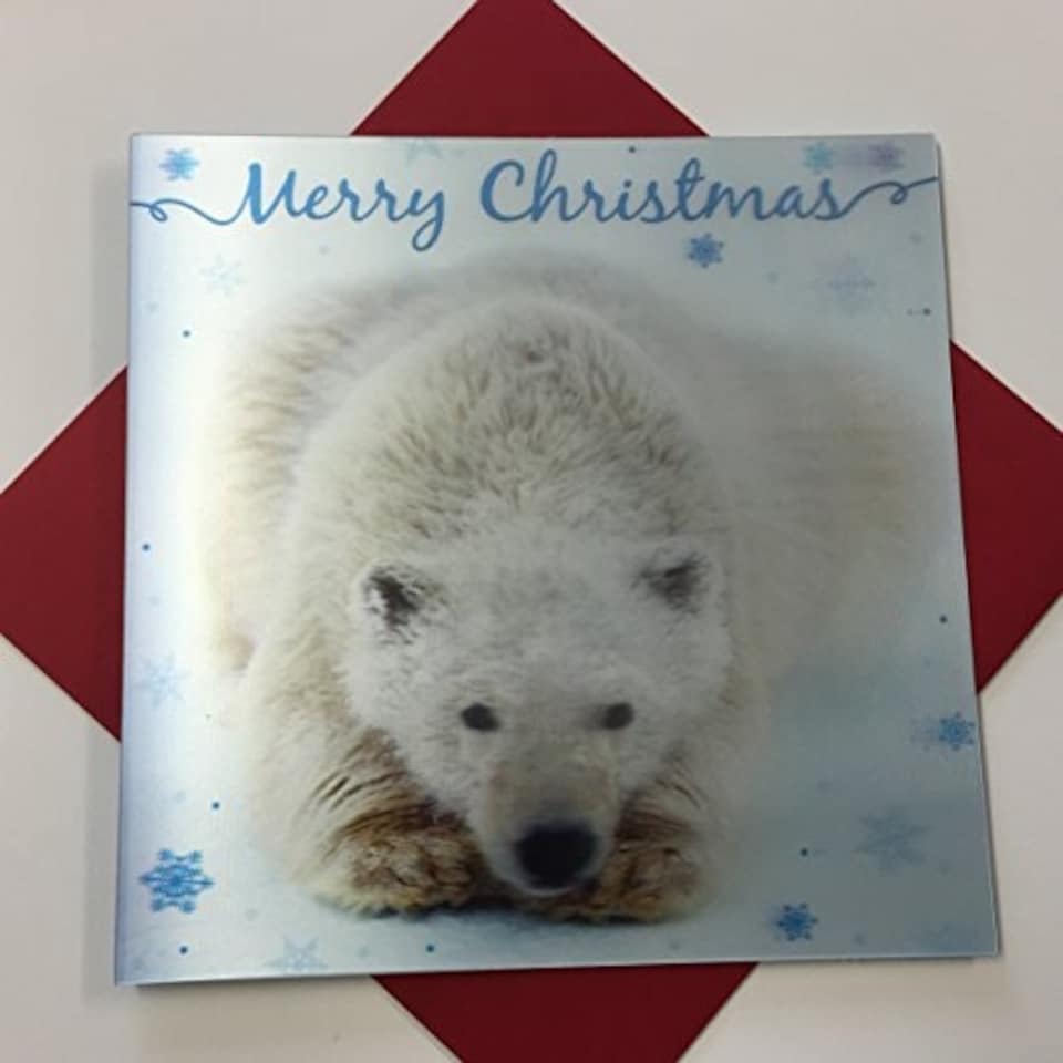 image 1 of 3D Holographic Up Close POLAR BEAR Merry Christmas Greeting Card