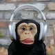 image 5 of Gifts Direct 2 U 'Up Yours' Monkey Headphone Holder Ornament | Black