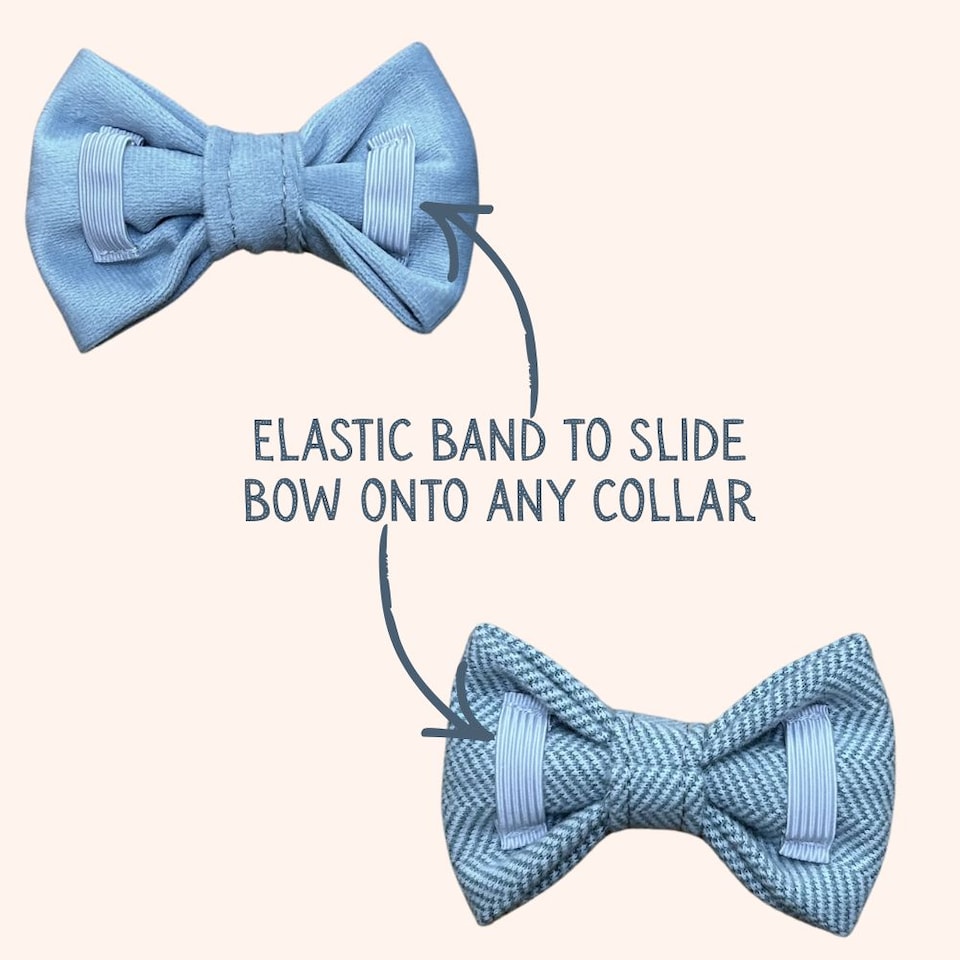 image 1 of Tails of Glory Blue Tweed and Velvet Bow Set