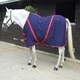 image 1 of Rhinegold Summer Sheet White | Size: 4ft 9
Colour: Red/White
