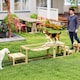 image 2 of PawHut Dog Agility Equipment 3 Pieces Wooden Dog Agility Set with Soft Bridge, Pause Platform and Pet Stair for Outdoor, Natural Wood