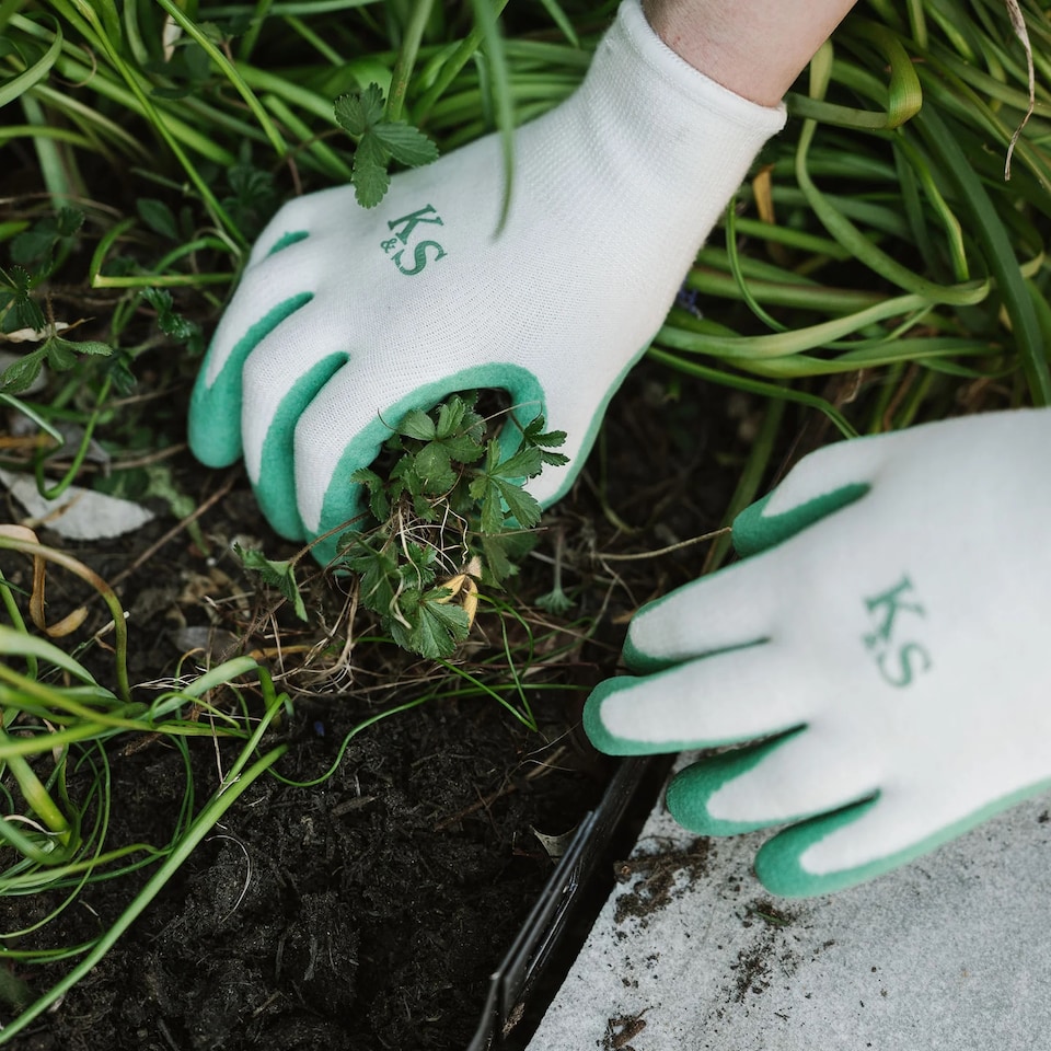 image 1 of Kent & Stowe Pistachio Natural Bamboo Gardening Gloves