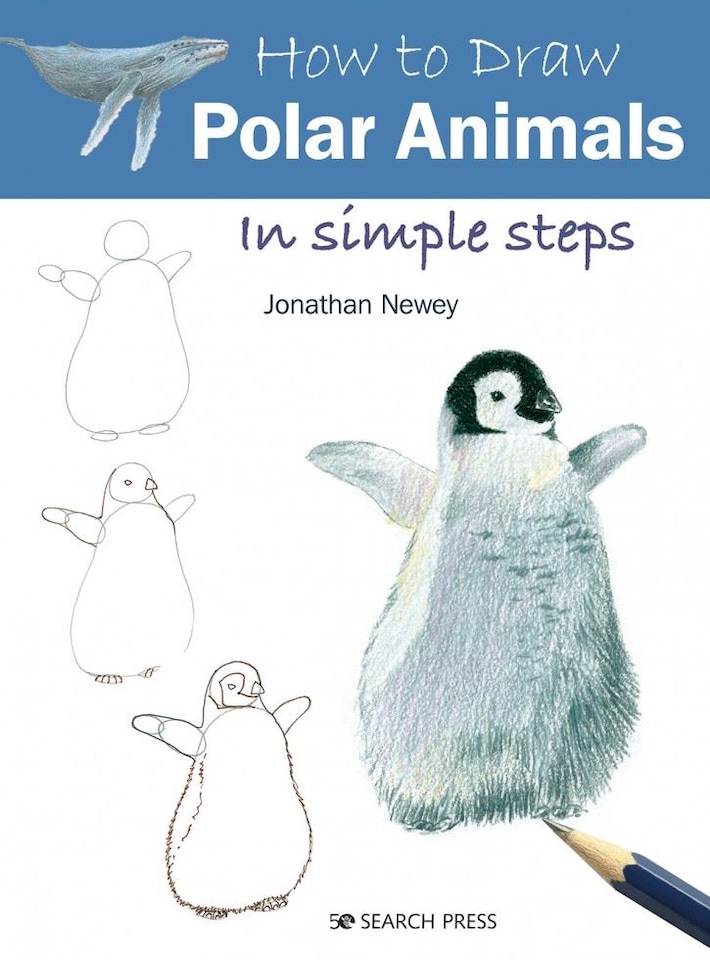 How to Draw: Polar Animals by Jonathan Newey  - How to Draw