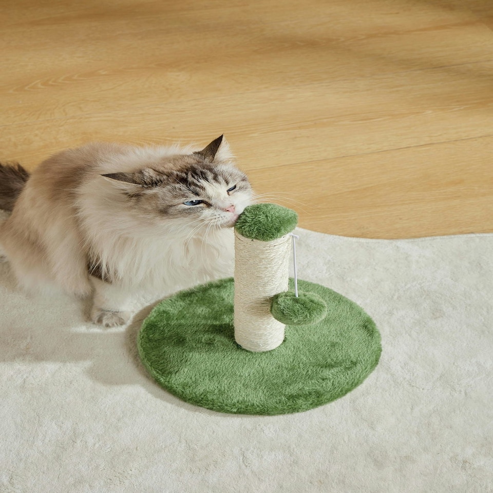image 1 of M-PETS My First Cat Tree Pompom Green
