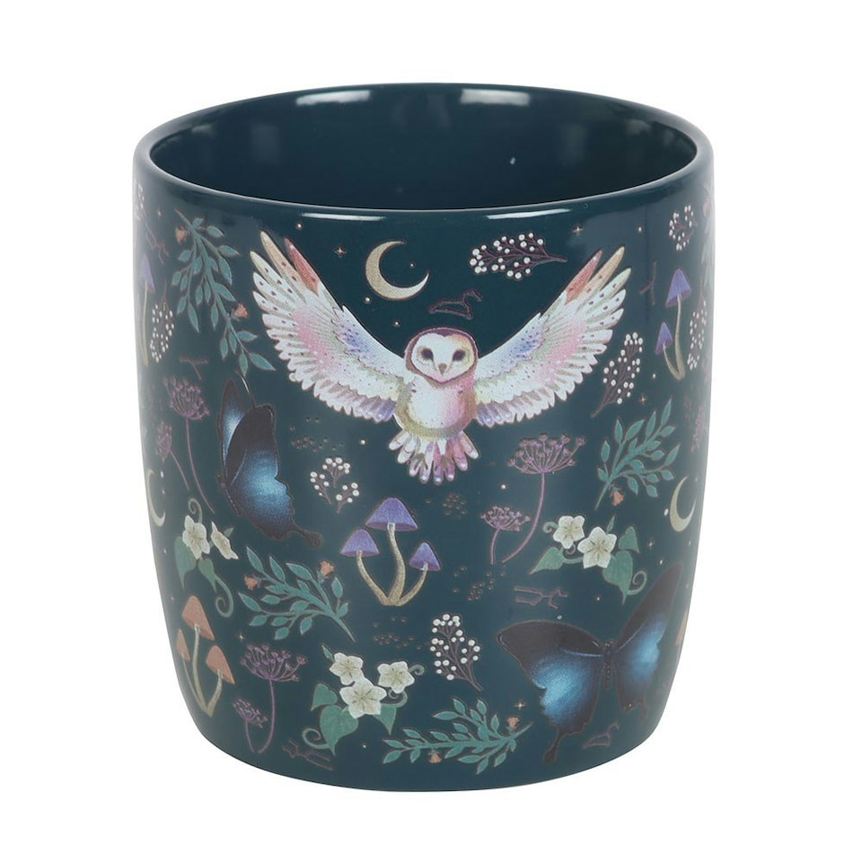 image 1 of Ceramic Night Owl Mug 320ml