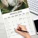 image 5 of Sloths 2026 Calendar | Square Wall Calendar | Animal Gift | Plastic Free Packaging | by Avonside Publishing