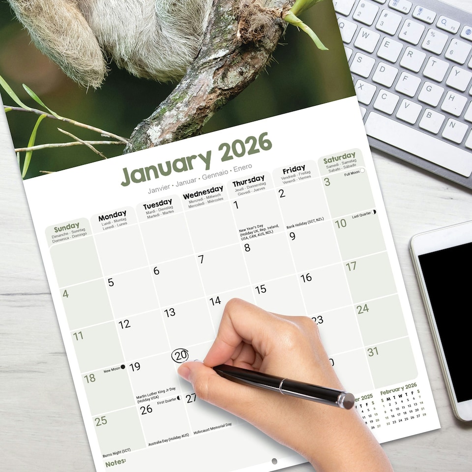 image 1 of Sloths 2026 Calendar | Square Wall Calendar | Animal Gift | Plastic Free Packaging | by Avonside Publishing