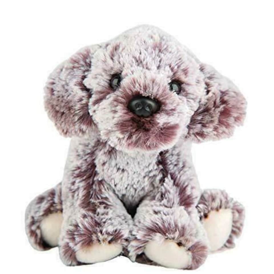 Cockapoo Small Sitting - Brand New