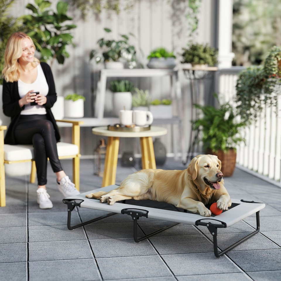image 1 of PawHut Raised Dog Bed with Breathable Mesh for S & M Dogs, Light Grey | Grey | Light Grey | S