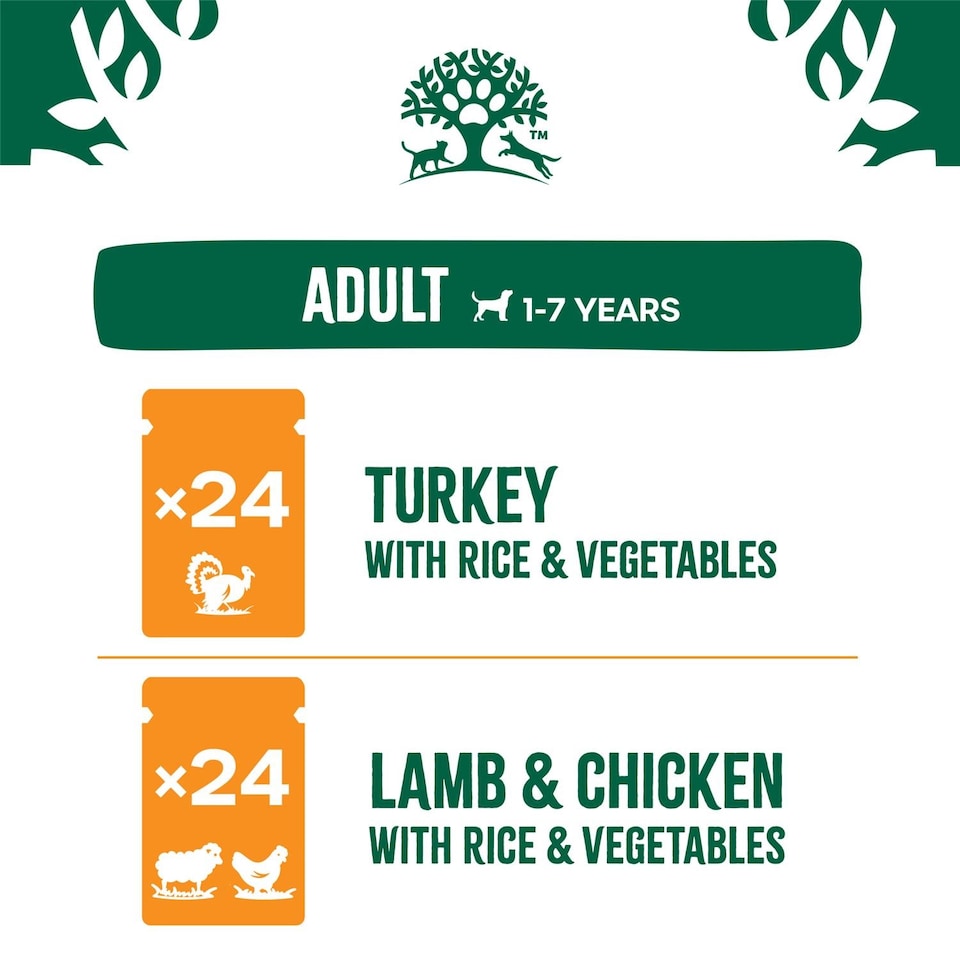 image 1 of James Wellbeloved Adult Wet Dog Food Pouches Mixed Selection in Gravy 48 x 90g