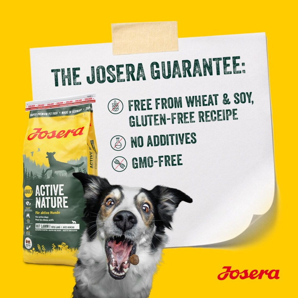 image 1 of Josera Active Nature complete dry dog food | Active dogs | All sizes | High meat | Gluten free | Herbs & fruits | Joint support | Immune Plus | 2x12.5kg pack