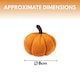 image 3 of Marco Paul Pack of 7 Plush Pumpkin Autumn Decor