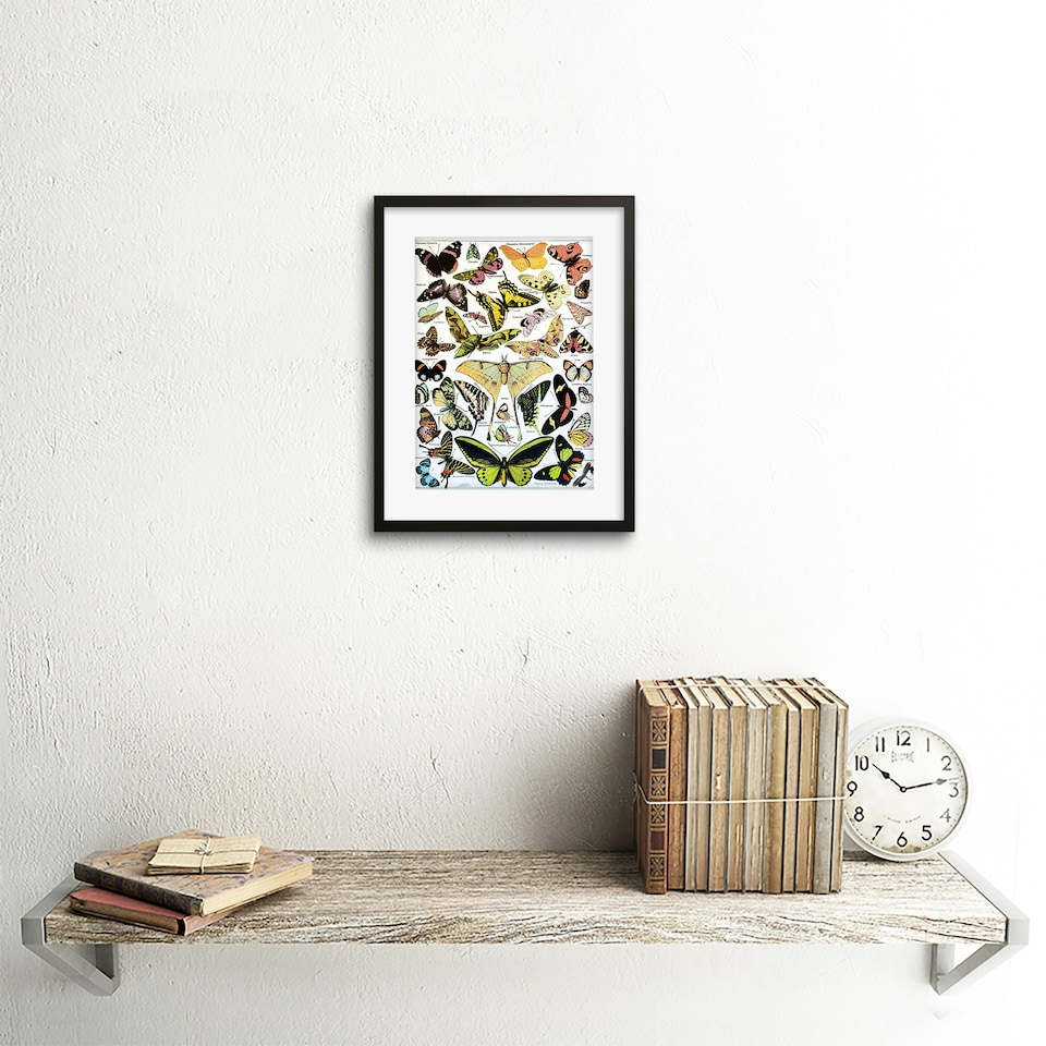 image 1 of Butterflies Moths Incect Encyclopedia 9x7" Black Framed Wall Art Print