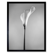 Flower Black And White Calla Lily Home Decor 12x16" Framed Wall Art Print