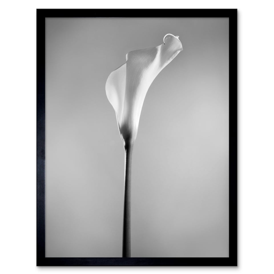 image 1 of Flower Black And White Calla Lily Home Decor 12x16" Framed Wall Art Print