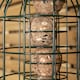 image 8 of Pack of 4 Wild Bird Fat Ball Feeder with Squirrel Guard