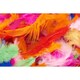 image 2 of Bag of 7g Bright Feathers by Icon Craft