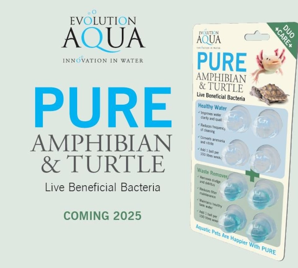 image 1 of Evolution Aqua Pure Amphibian and Turtle