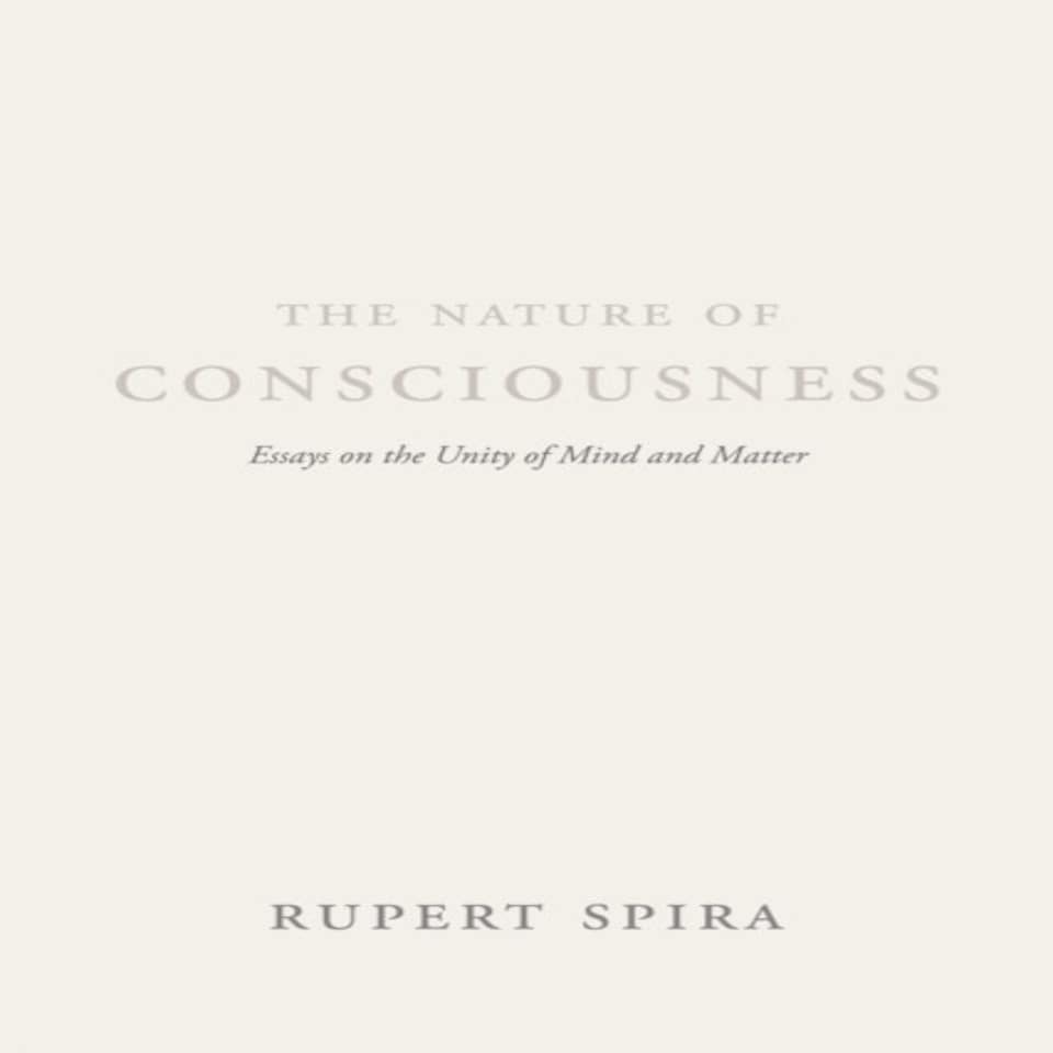 The Nature Of Consciousness