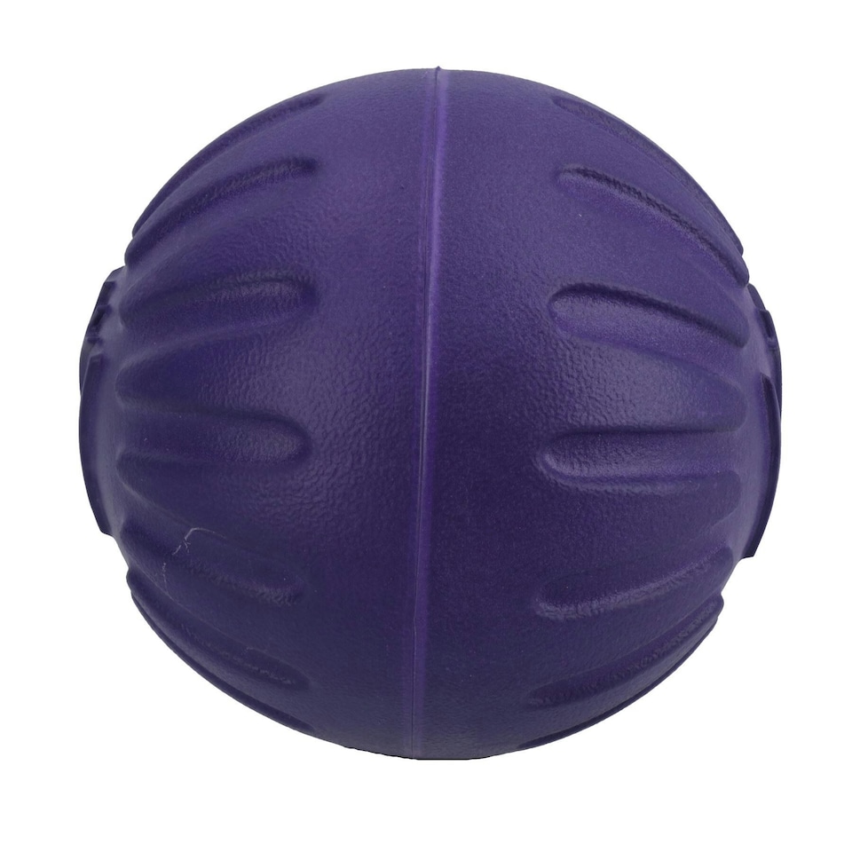 image 1 of Large Interactive Play Durafoam Dog Puppy Ball Floating Toy-Assorted Colour