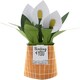 image 2 of Contemporary Peace Lily Plant Design Pop Up Card
