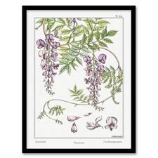 Maurice Pillard Verneuil Framed Wall Art Print Wisteria Flower Home Décor