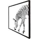 image 2 of Zebra (Picture Frame) Black | S