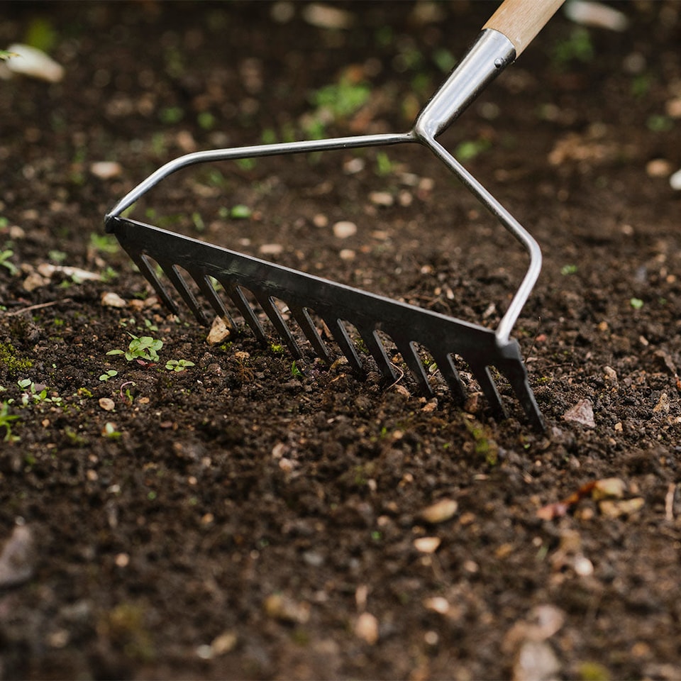 image 1 of Kent & Stowe Garden Life Lightweight Soil Rake, 12-Tine Stainless Steel Head, 130 cm Ash Handle | Multi | 130cm / 51in